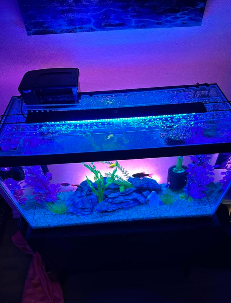 Fish Tank Lid - Clear Lids for Fish Tanks - Stops Evaporation - No Fish Jumping