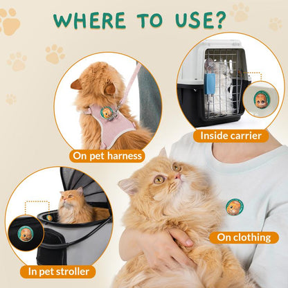 PAWITH Cat Calming Pop Patch (1 Box * 7 Patches) ,Long Lasting up to 48 Hours Per,To Help Reduce Conflicts and Signs of Tension in Multi-Cat Households,Ideal for Cat Travel, Vet Visits, Car Rides Effectively Alleviating Emergency Behaviors.