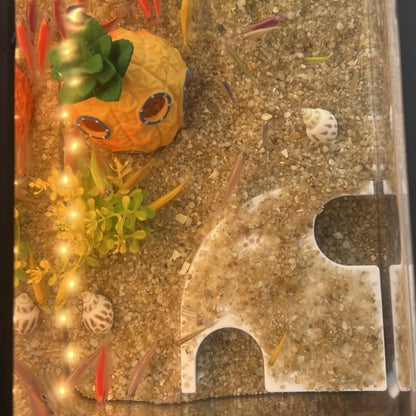 3D Dual-Entry Bionic Gravel Cave, Aquarium Eco Fish Tunnel & Reptile Underground Observatory Nest, Amphibious Habitat for Aquatic/Terrestrial Pets