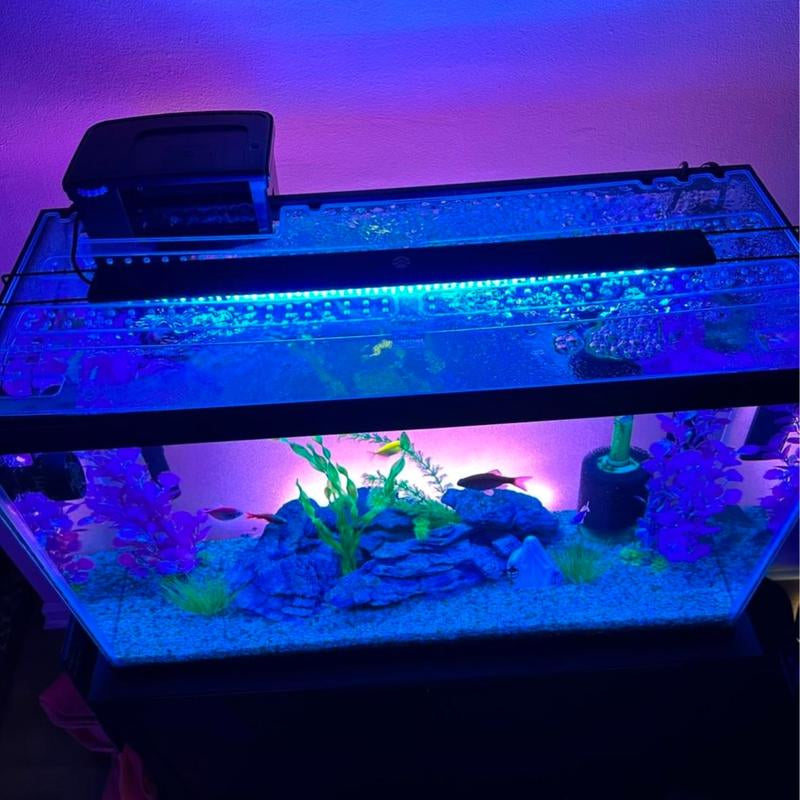 Fish Tank Lid - Clear Lids for Fish Tanks - Stops Evaporation - No Fish Jumping