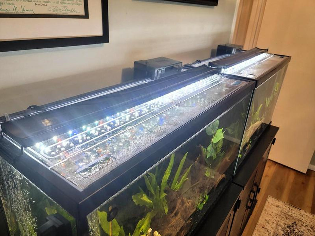 Fish Tank Lid - Clear Lids for Fish Tanks - Stops Evaporation - No Fish Jumping